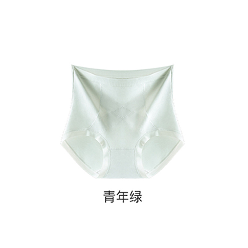 Premium Comfort Leakproof Shaping Undies