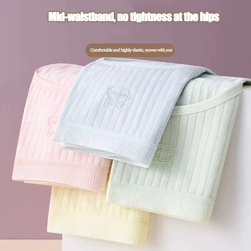 Simple Comfortable Antibacterial Briefs for Women