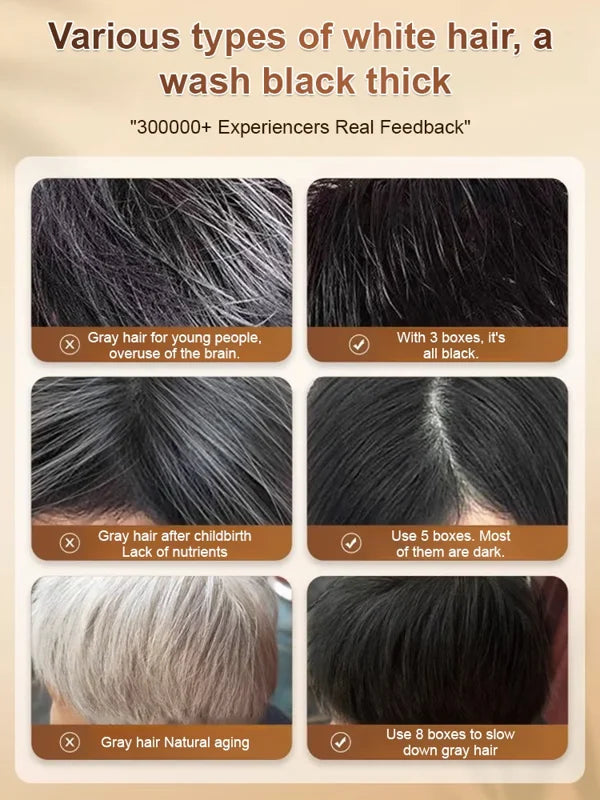 【WHITE TO BLACK】GINSENG AND POLYGONATUM ODORATUM HAIR CARE SHAMPOO