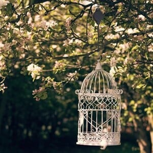 Plant Pulley Set For Garden Baskets Pots Birds Feeder