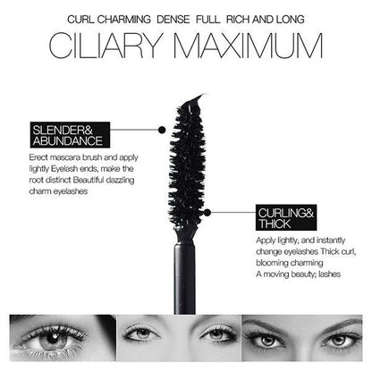 Day 2 Night Defined Length Intense Volume Mascara
