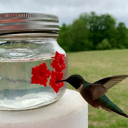 Beautiful Mason Jar Hummingbird Feeder W Three Ports