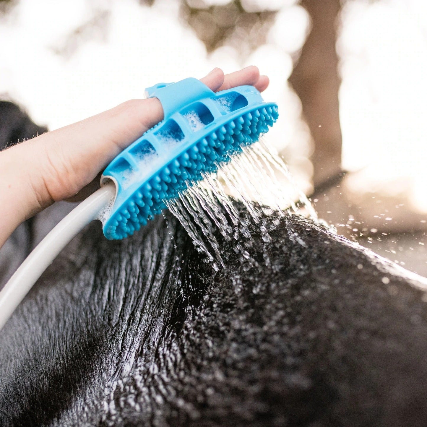 Pet Cleaning Outdoor Shower Bath Brush Dog